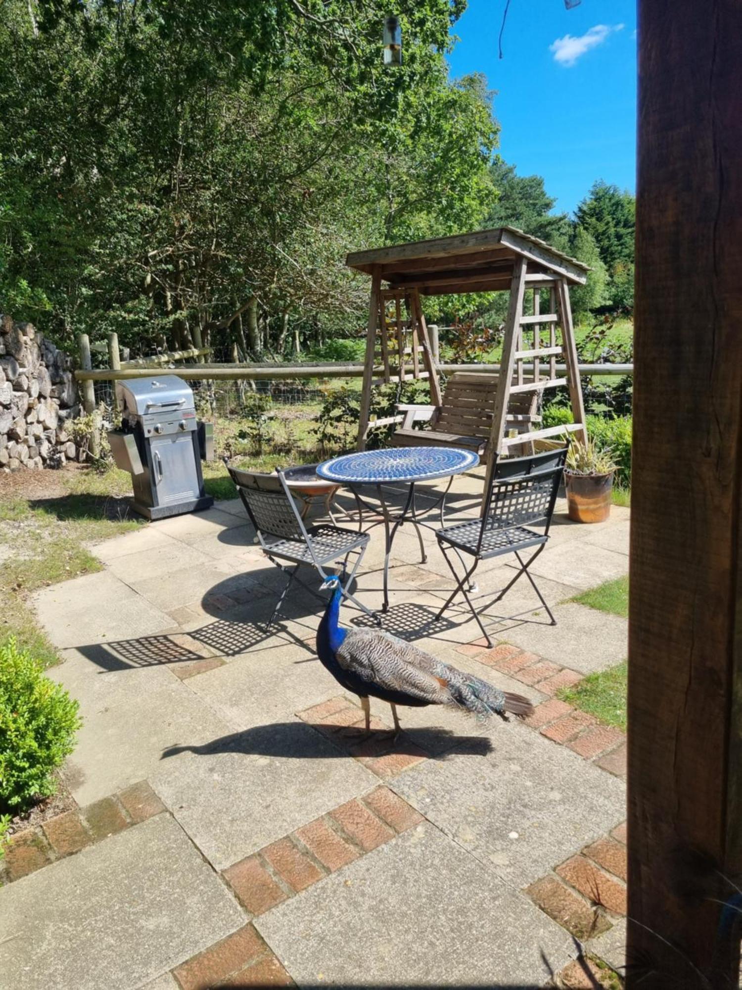 Villa Sika Hut Wareham Esterno foto