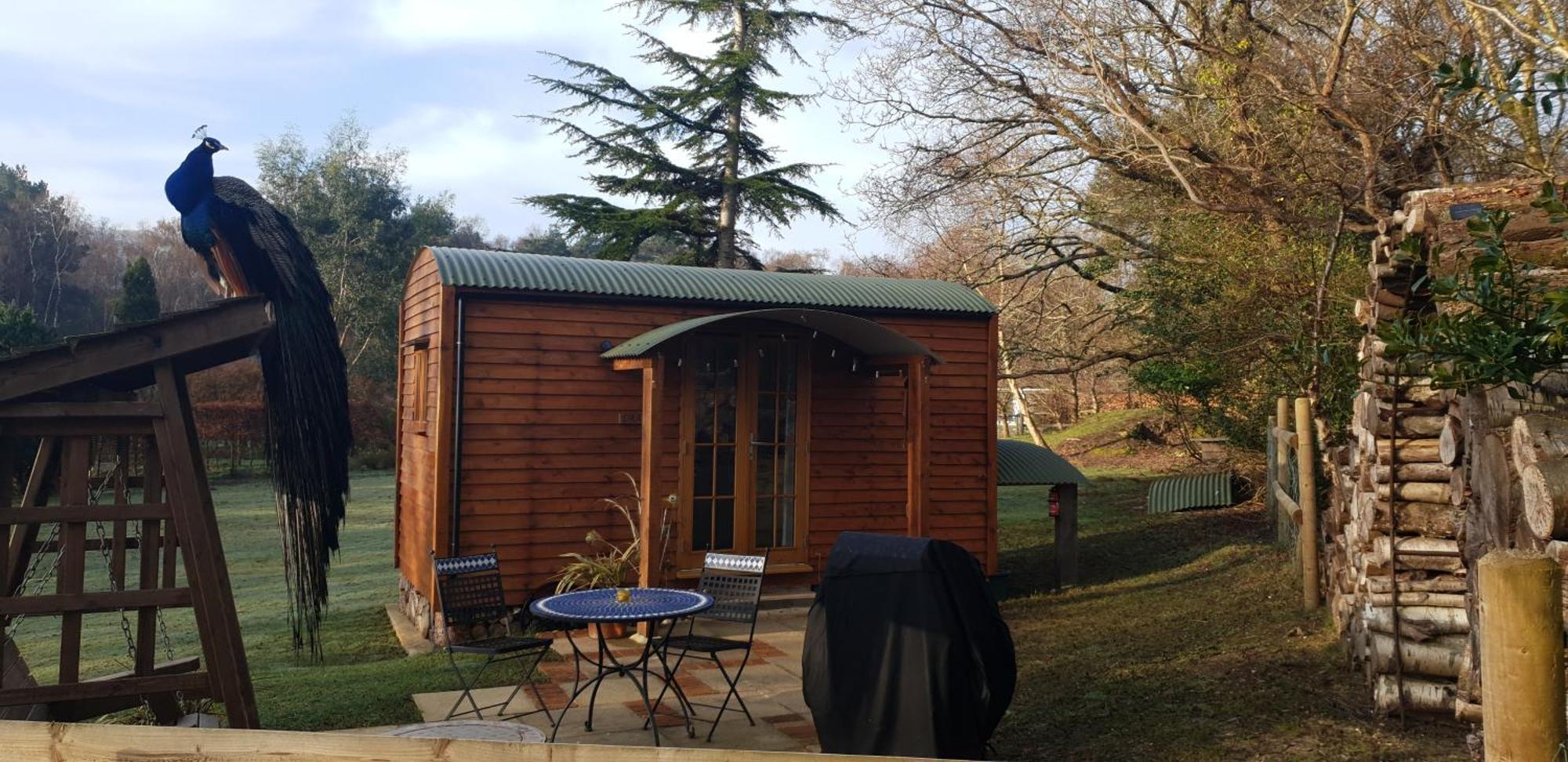 Villa Sika Hut Wareham Esterno foto